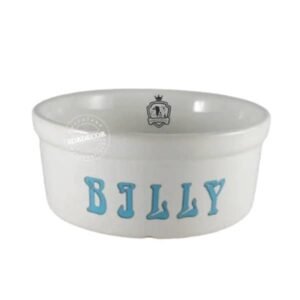 Comedouro Pet de Ceramica Personalizado com Nome 500 ml