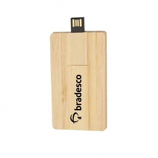 Pen Drive Bambu Card